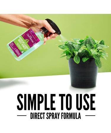 Aunt Fannies Houseplant & Garden Insect Spray 16.9 Fl Oz - Indoor/Outdoor Plants - Pack of 1 - Buy Online on GoSupps.com