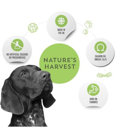 Nature's Harvest Natural Complete Wet Dog Food Lamb and Brown Rice for Fussy Eaters and Sensitive Stomachs - Multipack 10-Pack for Adult and Senior Dogs - Buy Online on GoSupps.com