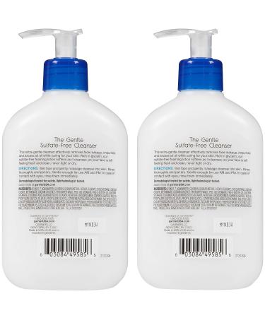 Garnier SkinActive Gentle Sulfate-Free Foaming Face Wash - Pack of 2 - Buy Online on GoSupps.com