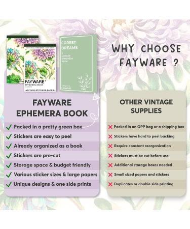 FAYWARE Washi Vintage Stickers and Papers - Botanical Ephemera for Scrapbooking and Journaling | 453 Stickers, 20 Papers | Forest Dreams - Buy Online on GoSupps.com