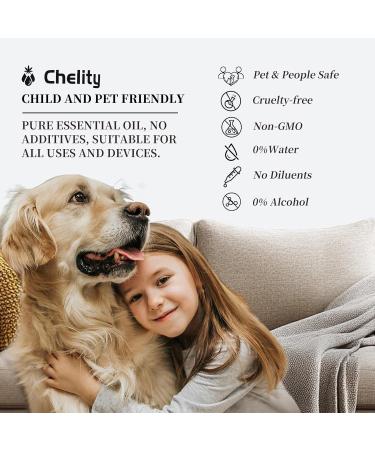 Chelity Hotel Scents Dubai Diffuser Oil 5.1Fl Oz (150ml) Home Luxury Aroma & Hotel Fragrance -Essential Oils for Diffuser Oil Refill DUBAI 5.1 Fl Oz (Pack of 1) - Buy Online on GoSupps.com