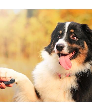 Truepets Dog Clicker Set - Flexible Hand Loop Clickers for Effective Dog Training - Clicker DOOG (Black/Blue) - Buy Online on GoSupps.com