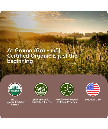 Grama Wellness Zzzzz Organic Sleep Aid Tincture Non Habit Forming Nighttime Drops for Adults Fast-Acting Liquid Sleep Aid for Deep Rest Calm & Relaxation Alcohol-Free 1 fl oz - Buy Online on GoSupps.com