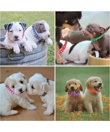 Heyu-Lotus 12-Pack Puppy Collars Paw Print Puppy Whelping Collars Quick Release Buckle Adjustable Leash Pet Safety Collars for Puppies and Cats (M) - Buy Online on GoSupps.com