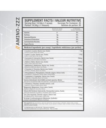 Beyond Yourself - Amino Zzz | The Ultimate Sleep & Recovery Elixir | Sleep Aid Complex with GABA L-Theanine Magnesium Zinc and Melatonin | 7.2g Vegan-Sourced EAAs for Muscle Repair | Zero Sugar Zero Calories | Midnight Raz - Buy Online on GoSupps.com