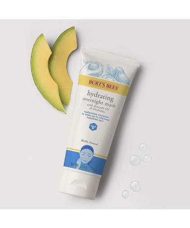 Burt's Bees Hydrating Overnight Mask 2.5 Oz - Unisex Skincare - Buy Online on GoSupps.com