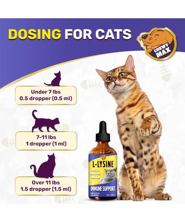 L Lysine for Cats & Kittens Helps with Watery Eyes Sneezing Cough Runny Nose Natural Cat Antibiotic Supplement with Taurine Vitamins for Eye Function & Immune Support Chicken Flavor 2 oz Herbal - Buy Online on GoSupps.com