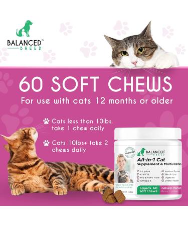Balanced Breed L-Lysine for Cats | Immune Support & Skin Coat Health | Omega 3 & B12 | Natural Cat Vitamins & Supplements - Buy Online on GoSupps.com