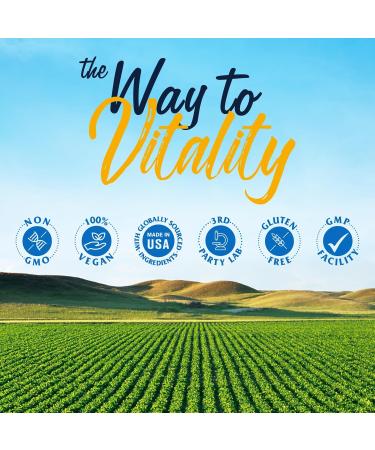 Vitalitown Hyaluronic Acid Supplements 250 mg Plus 25 mg Vitamin C Naturally Derived & High Bioavailability Skin Hydration 90 Vegan Capsules 3 Month Supply - Buy Online on GoSupps.com