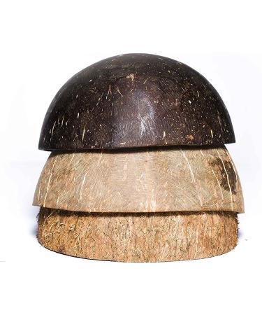 Sri Care Natural Coconut Shell Bowl Halves for Handicraft, Pet Feeder, Candle Making, Christmas & Halloween Decor - 1 Piece (No Fiber) - Buy Online on GoSupps.com