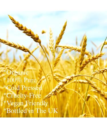 Feelia - Organic Wheat Germ Oil - Cold Pressed Rich in Vitamins E & A Nourishing & Moisturizing 100% Pure & Organic - Buy Online on GoSupps.com