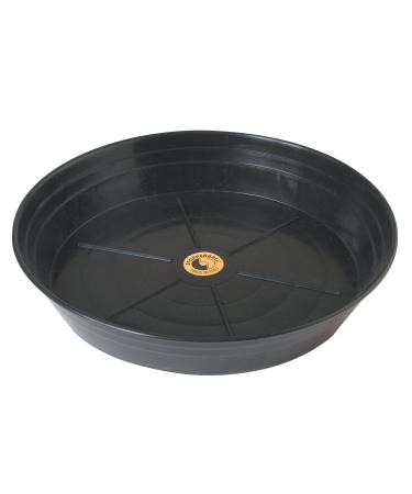 Champion Sports Ball Base