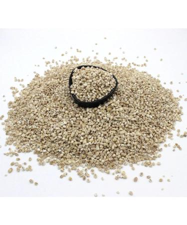 Thames Organic 100% Pure Pearl Barley Grain - 1kg Pack - Raw Vegan GMO Free High Fibre High Protein Certified Organic - Buy Online on GoSupps.com