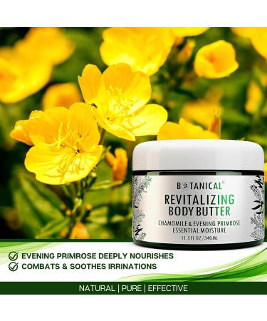 Botanical Revitalizing Body Butter | Organic Evening Primrose & Chamomile | Natural Skincare | 11.5 fl oz (340 ml - Buy Online on GoSupps.com