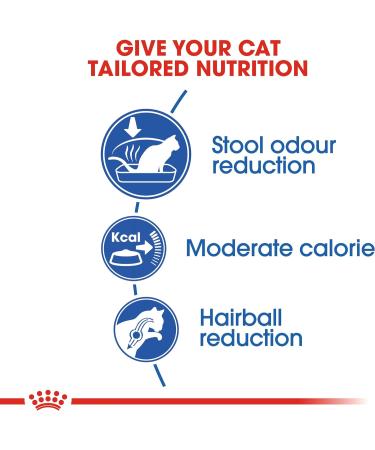 Royal Canin Cat Food Indoor 27 Dry Mix 2 kg 2 kg (Pack of 1) - Buy Online on GoSupps.com