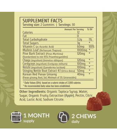 HERBAMAMA Lung Detox Gummies - Herbal Complex with Mushroom Blend for Lung Cleanse - Vegan Non-GMO Respiratory Support Supplement - 60 Pectin-Based Apple-Flavored Chews - Buy Online on GoSupps.com