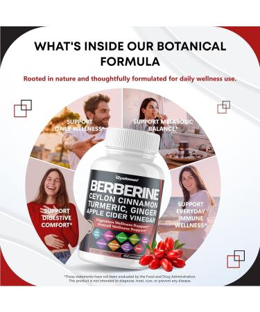 Berberine Ceylon Cinnamon - All-in-1 Supplement with Bitter Melon AVG Gymnema sylvestre Turmeric Milk Thistle Licorice Holy Basil Fenugreek Banaba 150 count (pack of 1) - Buy Online on GoSupps.com