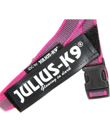Julius-K9 IDC Color & Gray Belt Harness XS/Mini-Mini Pink-Gray - Best Price & Quality - Buy Online on GoSupps.com