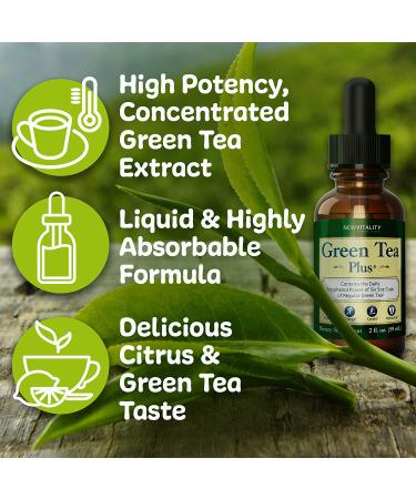 Green Tea Extract Supplement - Healthy Metabolism Boost & Natural Energy | Decaf, Immune Support & Antioxidants - 2oz - Buy Online on GoSupps.com