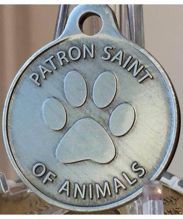 Saint Francis of Assisi Pet Protection Pewter Charm - RecoveryChip for Dogs and Cats - Buy Online on GoSupps.com