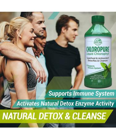 Country Farms Chloropure Liquid Chlorophyll Mint - 16 fl oz | Refreshing Green Wellness Boost - Buy Online on GoSupps.com