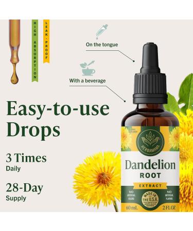 HERBAMAMA Dandelion Root Tincture - Vegan Dandelion Root Extract for Liver Detox and Cleanse - Non-GMO Alcohol & Sugar-Free Liquid Liver Support Supplement 28-Day Supply 2 Fl Oz (Pack of 1) - Buy Online on GoSupps.com