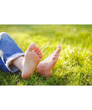 Salveped Discos Callos Redondos Ref 1350 - Comfy Foot Care for International Shipping | Buy Now! - Buy Online on GoSupps.com