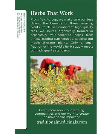 Traditional Medicinals Organic Fennel Herbal Tea - Digestive Health Support (Pack of 2, 32 Tea Bags) - Buy Online on GoSupps.com