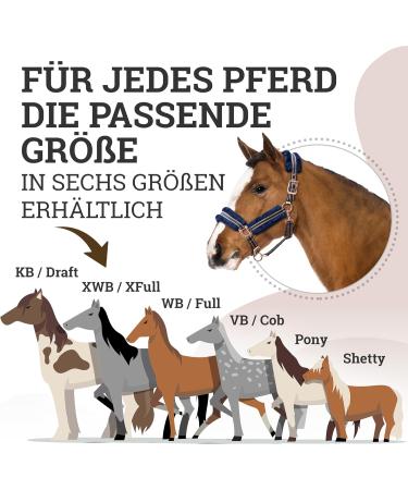 Esposita Halfter Champion Edition - Navy/Rosegold Soft Fluffy Stallhalter with Synthetic Fur | XFull/XWB - Buy Online on GoSupps.com