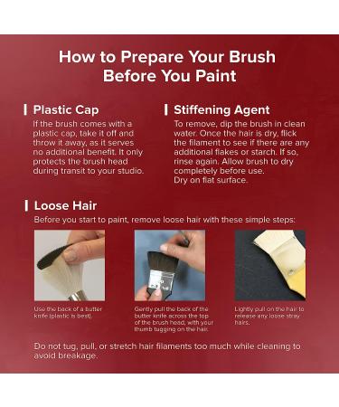 Silver Brush Limited 5519S Silver Mop Oval Brush - Short Handle Size 3/4 - Buy Online on GoSupps.com