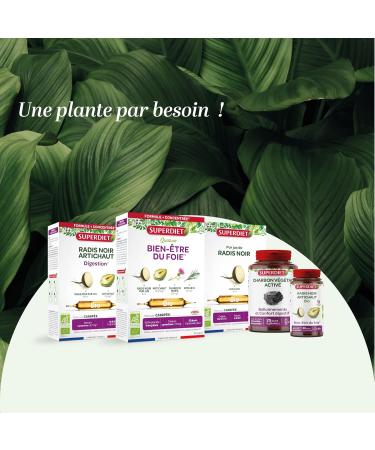 SUPERDIET DESMODIUM - Liver well-being Liver well-being Hepathic drainer - Phytotherapy-Made in France - 20 ampoules 10 ml - Buy Online on GoSupps.com