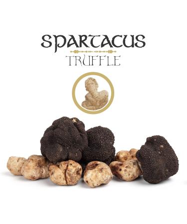 SPARTACUS OLYMPUS TRUFFLE SAUCE 90g WITH SUNFLOWER OIL SPICE CREAM PERFECT GOURMET SEASONING FOR PIZZA NOODLES POTATO SALAD MEAT VEGAN GIFT IDEA (Black TRUFFLE) - Buy Online on GoSupps.com