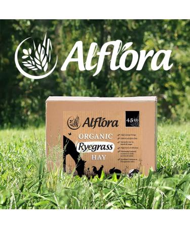 Alflora Organic 1KG Approx Premium Ryegrass Meadow Hay Original - 100% Natural - 10% Protein Fibre and Nutrient Rich Everyday Use Hay or Chaff - For Rabbits Gerbils Hamsters Guinea Pigs Unfavoured 1 count (Pack of 1) - Buy Online on GoSupps.com