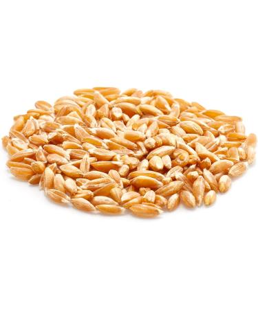 Yupik Organic Farro 1Kg 1 kg (Pack of 1) - Buy Online on GoSupps.com