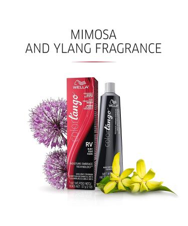 WELLA Color Tango 4NB Med Neutral Brown Permanent Hair Color Masque - Buy Online on GoSupps.com