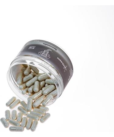  VITAmyne Spermidine 6 mg - Highly concentrated wheat germ extract - For vitality and cell renewal - Buy Online on GoSupps.com