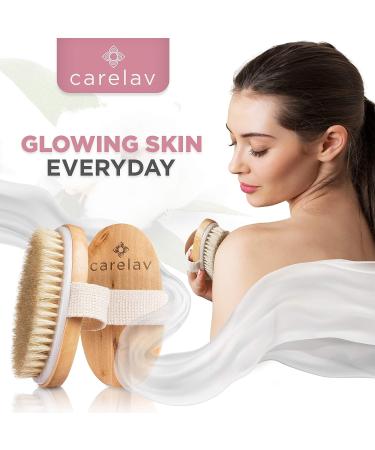 Premium Dry Brushing Body Brush Set | Medium Boar Bristles for Exfoliating & Cleansing | Lymphatic Drainage | Skin Beauty Brush with Handle, Face Brush & Shower Gloves - Buy Online on GoSupps.com