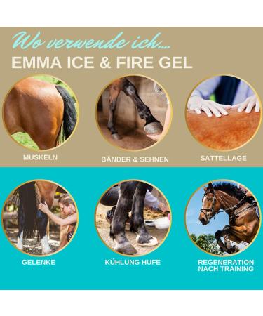 Refreshing Horse Balm 500ml Arnica Gel Extra Strength Gel I Horse Balm Tendons Ligaments & Muscles I Arnica Horse Ointment Cream Muscle Massage Gel for Horse Dog - Buy Online on GoSupps.com