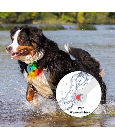 FTTouuy Safety LED Flashing Light for Dogs & Cats - USB Rechargeable Waterproof Colorful Pet Safety Light for Night Walks | International Shipping Available - Buy Online on GoSupps.com
