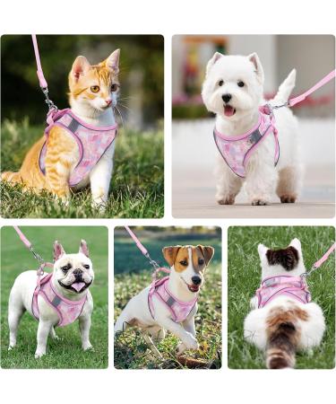 BriFit Cat Dishes with 150cm Leash - High Quality Breakfast Set for Cats & Small Dogs (Pink XS) - Perfect for Pets 6.61-1lb - Buy Online on GoSupps.com