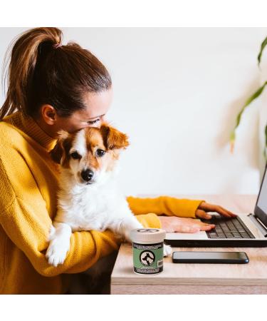 Only One Treats Green Lipped Mussel Powder Hip and Joint Supplement for Dogs and Cats Natural Pet Treats with Glucosamine to Improve Pet Mobility Cardiovascular and Immune Health (60g) 60 G - Buy Online on GoSupps.com