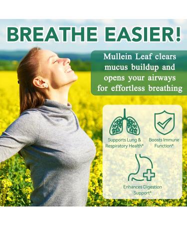 Mullein Gummies for Lungs & Sinus Relief 2000mg Mullein Leaf Extract Natural Lung Cleanse Supplement for Smokers Supports Respiratory Immune & Mucus Relief 60 Chewable Gummies - Buy Online on GoSupps.com