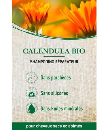 alkmene Organic Calendula Repair Shampoo - Shampoos for dry and damaged hair - Plant-based shampoo without silicone parabens mineral oils SLS and SLES - Shampoos (3x 250 ml) - Buy Online on GoSupps.com