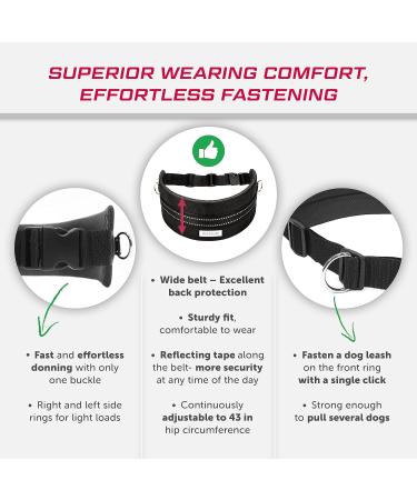 LASALINE Canicross Dog Trekking Belt Black - Buy Online on GoSupps.com