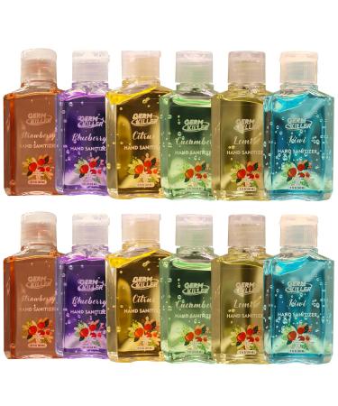AMERICAN RAVEN Assorted Hand Sanitizer Gel Pack of 12 Mini Travel Size Bulk Hand Sanitizer Gel With Aloe Vera Pack of 12 - Assorted fruits