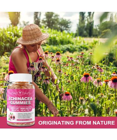 EnvyCure Immune Support Gummies with Black Elderberry, Vitamin C, Zinc & Turmeric - Vegan 120 Count - Buy Online on GoSupps.com