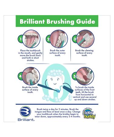 Brilliant Baby Toothbrush | Round Brush Head | Soft Bristles | Ages 4 Months to Toddler 2 Years | 3 Pack Set | Mint Green/Yellow | 3 Count - Buy Online on GoSupps.com