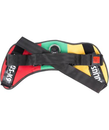 IDC Powerharness 3XL/4 - Premium Dog Harness in Lithuanian Colors | International Shipping Available - Buy Online on GoSupps.com