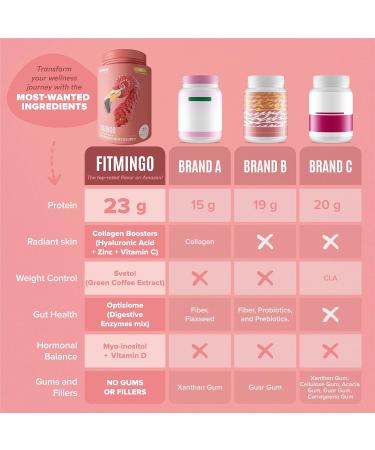 BIRDMAN Fitmingo Vegan Protein Powder with Inositol, Collagen Boosters, Hyaluronic Acid and Vitamins | Low Carb, Dairy Free, Lactose Free, Low Calorie | 23g Plant Based Vanilla Protein Powder - Buy Online on GoSupps.com