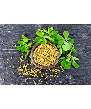 Organic Fenugreek Seeds 1.5 lbs - Non-GMO Raw Whole Methi - Kosher Vegan - Iron, Copper, Fiber - Bulk Pack of 1 - Buy Online on GoSupps.com